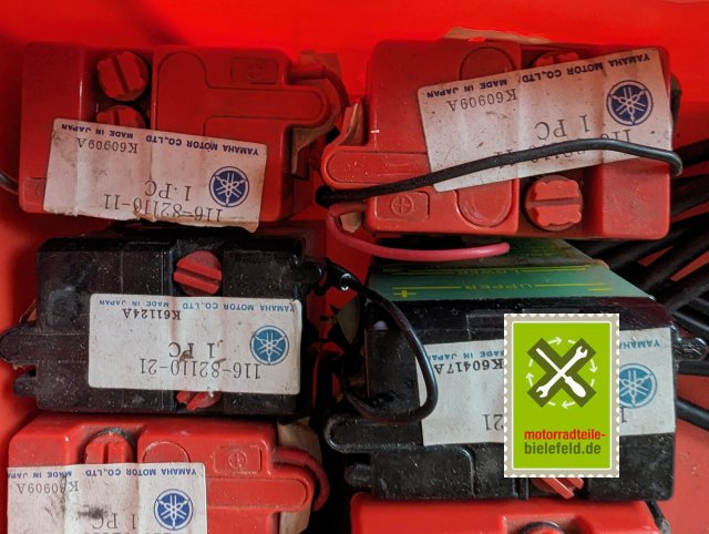 PXL_20240516_145532848